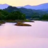 信息流廣告代理公司 杭州廣告市場(chǎng)的專(zhuān)業(yè)選擇